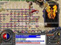 1.76元素小极品+5诱惑之光之间的PK情形